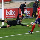 ueo-olot-2---1-bara-b-1_50646056292_o