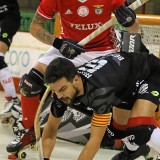 catpress_31974348203_o