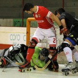 catpress_32788472165_o