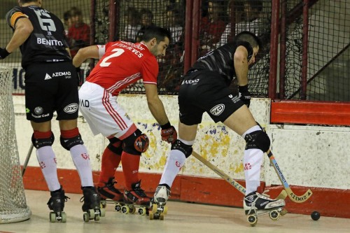 catpress 32788473475 o