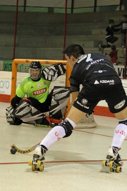 catpress 32788474895 o